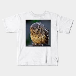 sulking owl Kids T-Shirt